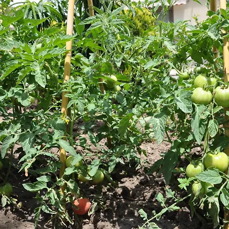 וילה Charming With Seaview In A Gated Complex קריופיגי