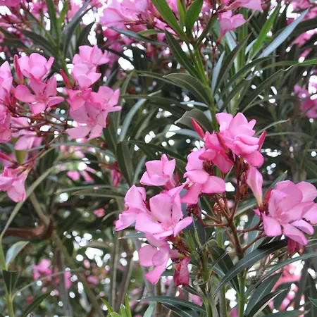 Charming With Seaview In A Gated Complex Villa