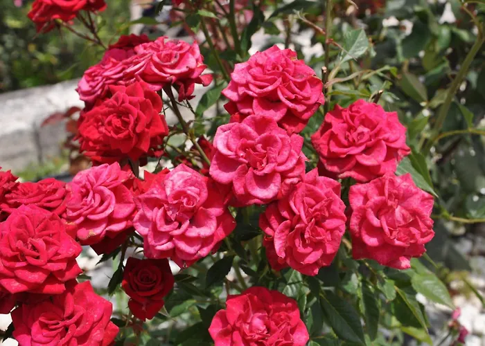 Villa Charming With Seaview In A Gated Complex