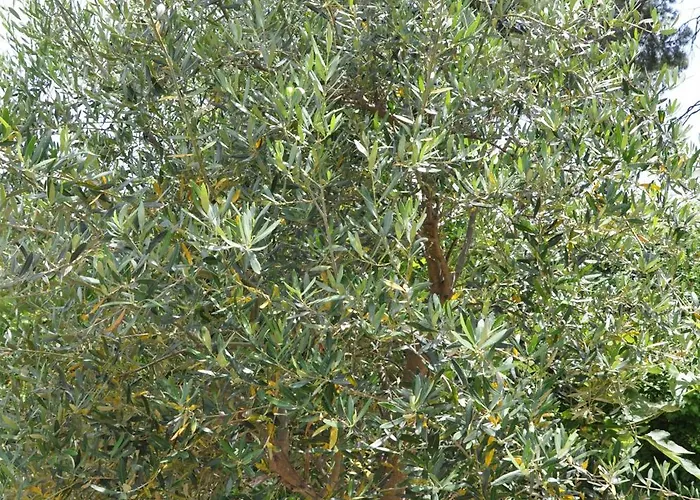 Charming With Seaview In A Gated Complex Kriopigi