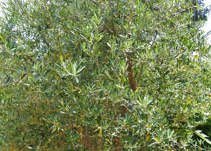 Charming With Seaview In A Gated Complex Villa