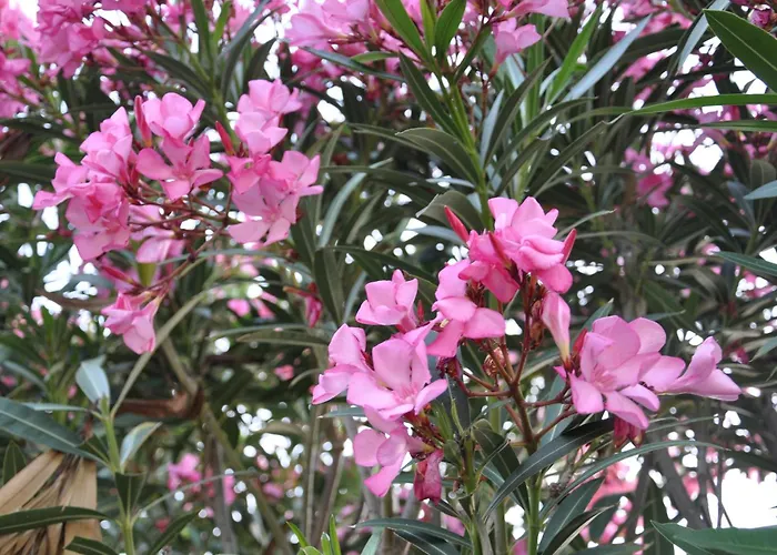 Charming With Seaview In A Gated Complex Villa