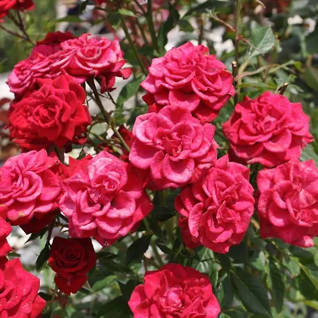 Villa Charming With Seaview In A Gated Complex